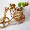 Cane Rickshaw Flower Vase