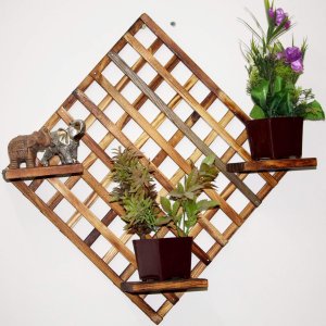 Wooden plant Wall Shelves