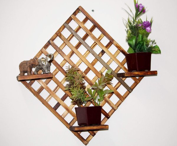 Wooden plant Wall Shelves