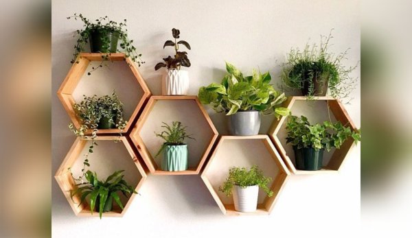 Hexagonal Wall Shelves