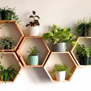 Hexagonal Wall Shelves